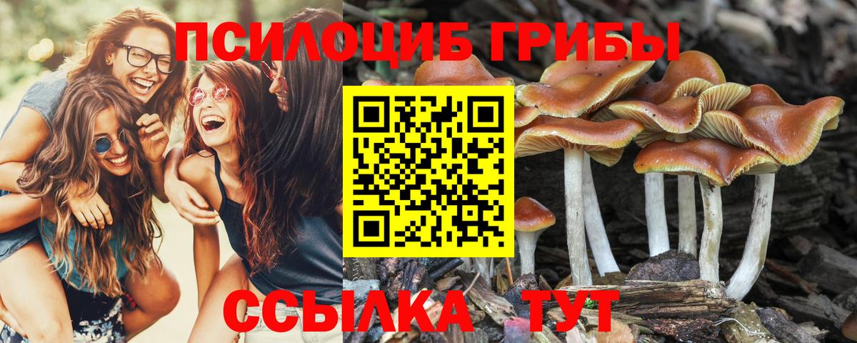 Псилоцибиновые грибы Magic Shrooms Уссурийск